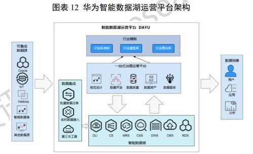 中國數(shù)據(jù)湖產(chǎn)品重點廠商全景掃描 賦能大數(shù)據(jù)服務(wù)新生態(tài)
